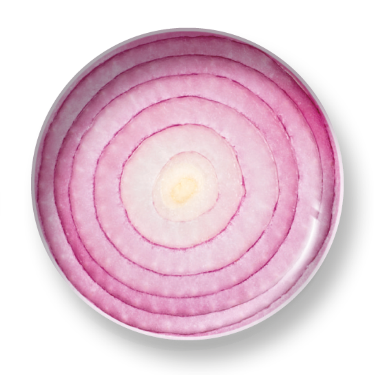 RINGS OF THE ONION