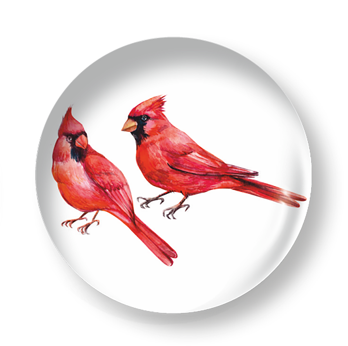 TWO CARDINAL BIRDS