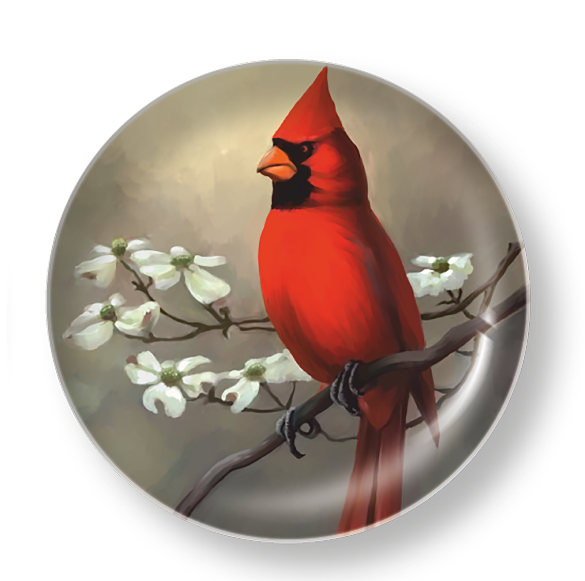 RED CARDINAL BIRD