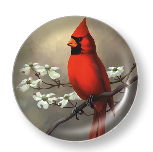 RED CARDINAL BIRD