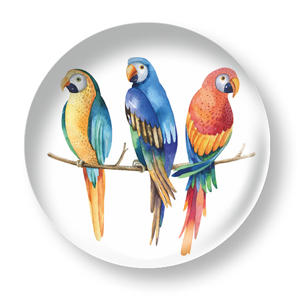 THREE MACAWS