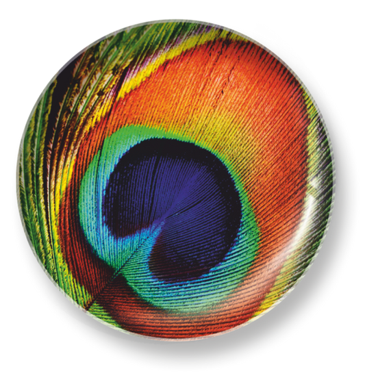 PEACOCK FEATHER